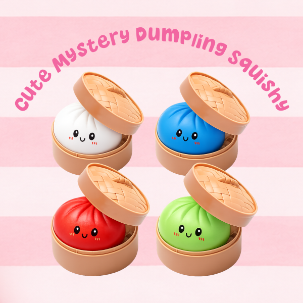 Cute Mystery Dumpling Fidget Squishy
